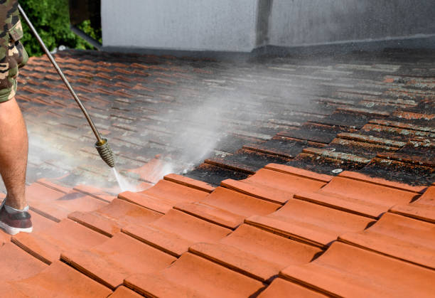 Best Roof Pressure Washing  in Port Richey, FL