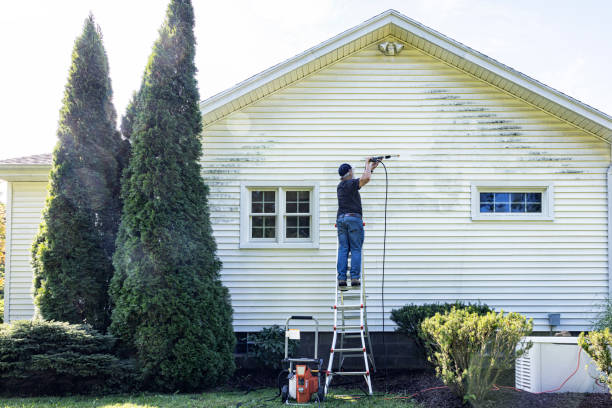 Best Local Pressure Washing Services  in Port Richey, FL