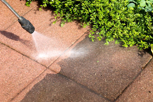 Best Deck Cleaning Services  in Port Richey, FL